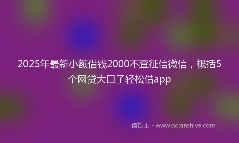 2025年最新小额借钱2000不查征信微信，概括5个网贷大口子轻松借app