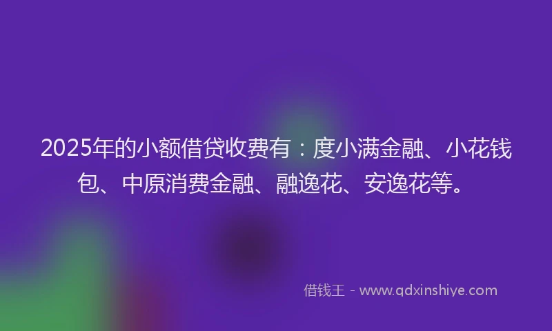 2025年的小额借贷收费有：度小满金融、小花钱包、中原消费金融、融逸花、安逸花等。