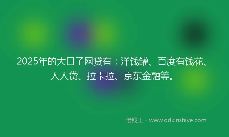 2025年的大口子网贷有：洋钱罐、百度有钱花、人人贷、拉卡拉、京东金融等。