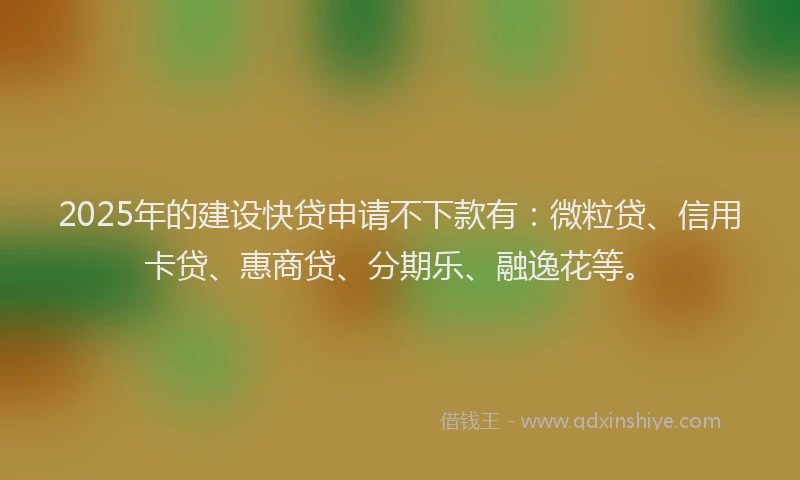 2025年的建设快贷申请不下款有：微粒贷、信用卡贷、惠商贷、分期乐、融逸花等。