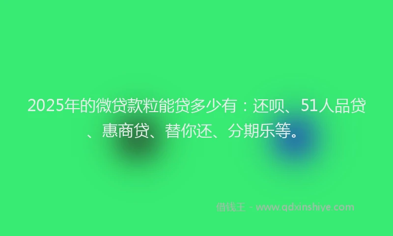 2025年的微贷款粒能贷多少有：还呗、51人品贷、惠商贷、替你还、分期乐等。
