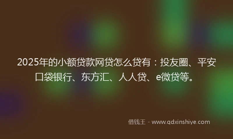 2025年的小额贷款网贷怎么贷有：投友圈、平安口袋银行、东方汇、人人贷、e微贷等。