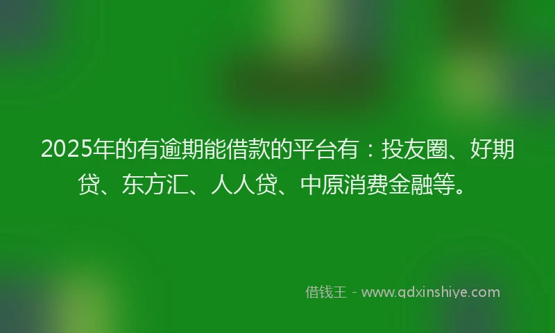 2025年的有逾期能借款的平台有：投友圈、好期贷、东方汇、人人贷、中原消费金融等。