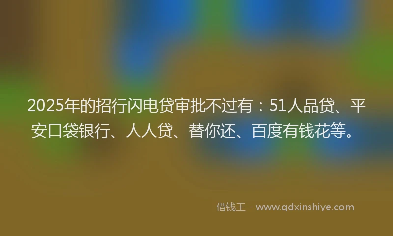 2025年的招行闪电贷审批不过有：51人品贷、平安口袋银行、人人贷、替你还、百度有钱花等。