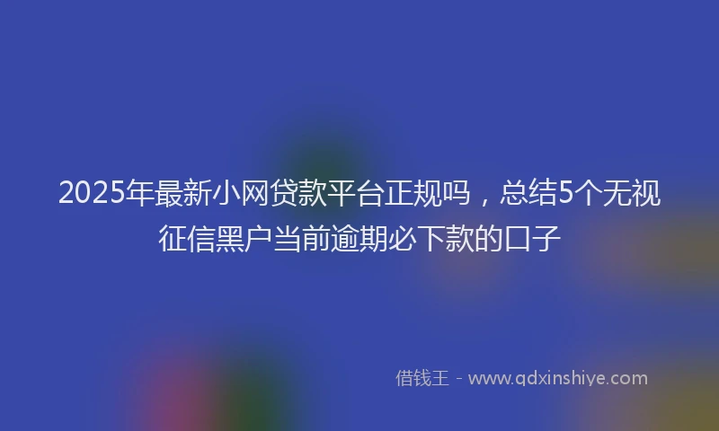 2025年最新小网贷款平台正规吗，总结5个无视征信黑户当前逾期必下款的口子