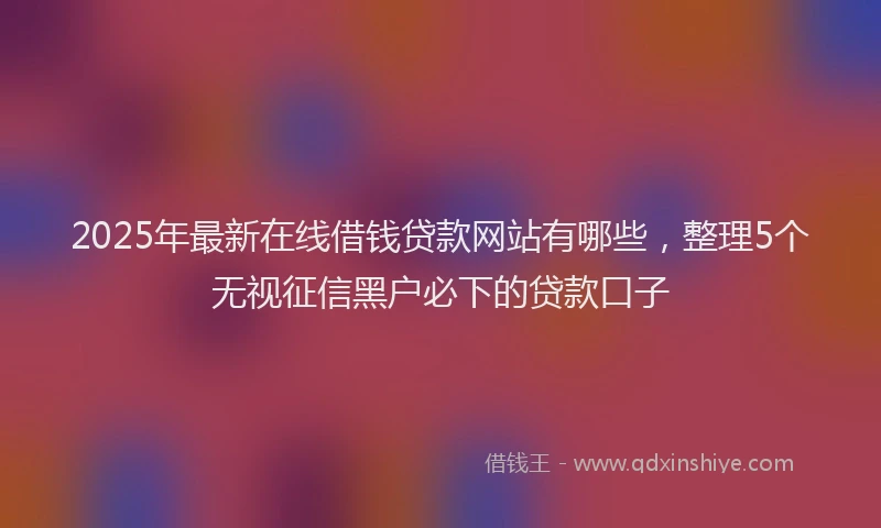 2025年最新在线借钱贷款网站有哪些，整理5个无视征信黑户必下的贷款口子