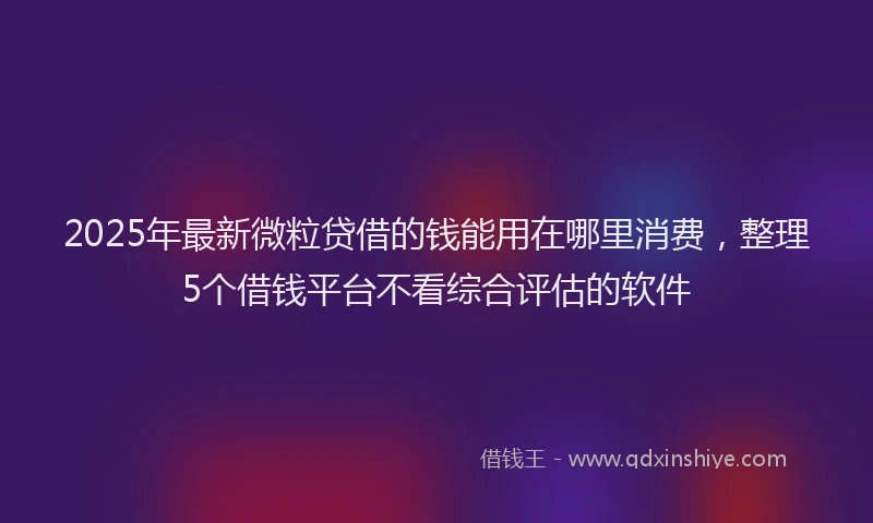 2025年最新微粒贷借的钱能用在哪里消费，整理5个借钱平台不看综合评估的软件