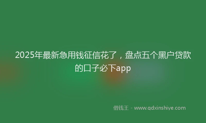 2025年最新急用钱征信花了，盘点五个黑户贷款的口子必下app