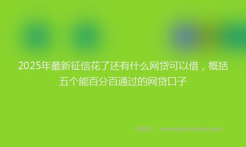2025年最新征信花了还有什么网贷可以借，概括五个能百分百通过的网贷口子