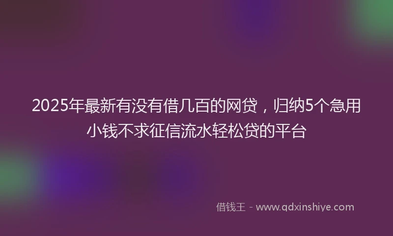 2025年最新有没有借几百的网贷，归纳5个急用小钱不求征信流水轻松贷的平台