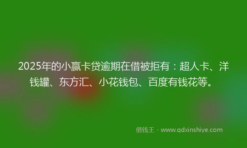 2025年的小赢卡贷逾期在借被拒有：超人卡、洋钱罐、东方汇、小花钱包、百度有钱花等。