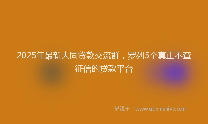 2025年最新大同贷款交流群，罗列5个真正不查征信的贷款平台