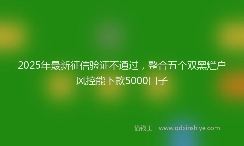 2025年最新征信验证不通过，整合五个双黑烂户风控能下款5000口子