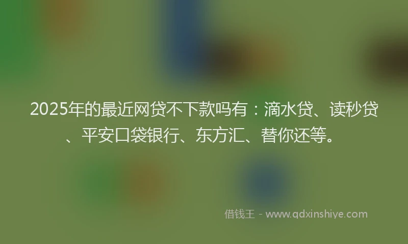 2025年的最近网贷不下款吗有：滴水贷、读秒贷、平安口袋银行、东方汇、替你还等。