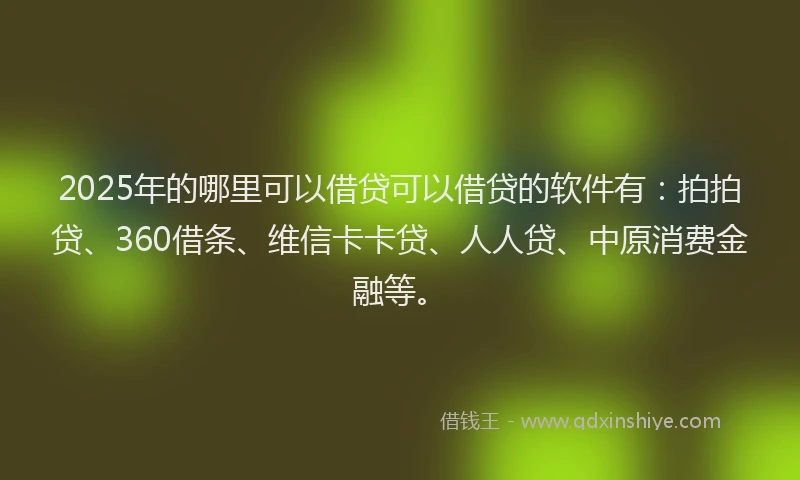 2025年的哪里可以借贷可以借贷的软件有：拍拍贷、360借条、维信卡卡贷、人人贷、中原消费金融等。