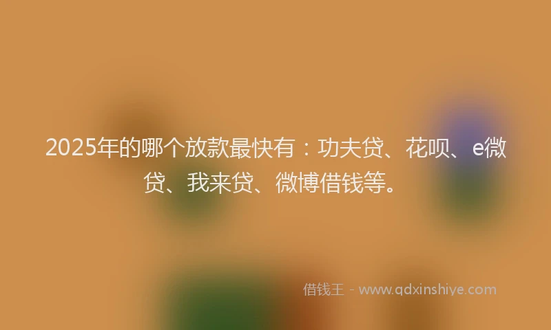 2025年的哪个放款最快有：功夫贷、花呗、e微贷、我来贷、微博借钱等。