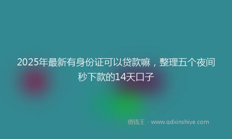 2025年最新有身份证可以贷款嘛，整理五个夜间秒下款的14天口子