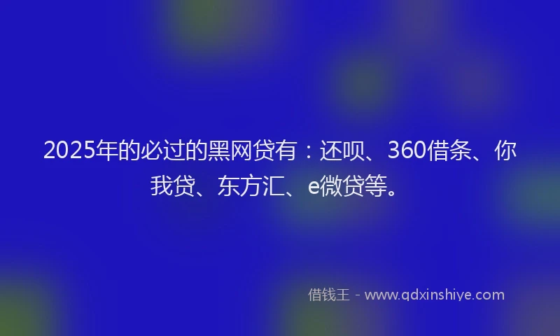 2025年的必过的黑网贷有：还呗、360借条、你我贷、东方汇、e微贷等。
