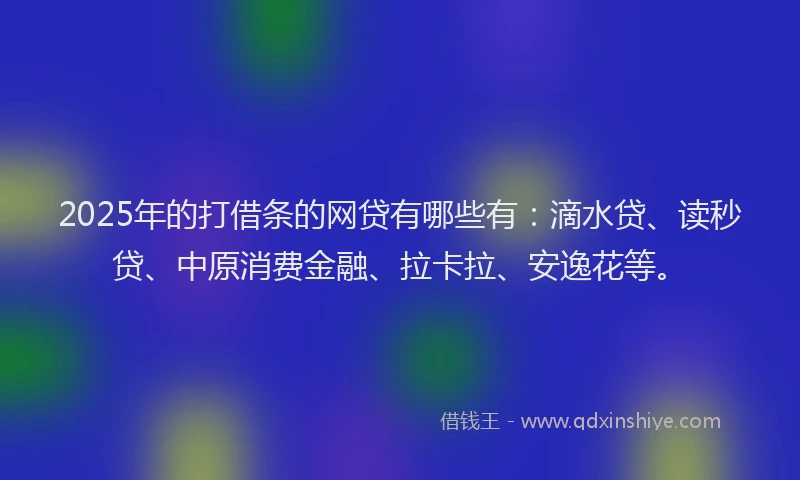 2025年的打借条的网贷有哪些有：滴水贷、读秒贷、中原消费金融、拉卡拉、安逸花等。