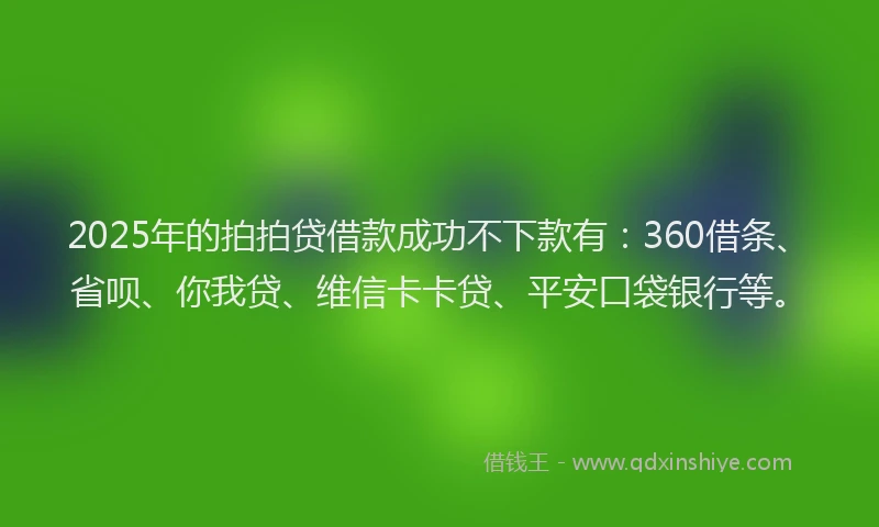 2025年的拍拍贷借款成功不下款有：360借条、省呗、你我贷、维信卡卡贷、平安口袋银行等。