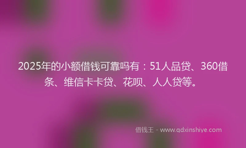 2025年的小额借钱可靠吗有：51人品贷、360借条、维信卡卡贷、花呗、人人贷等。