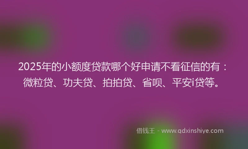 2025年的小额度贷款哪个好申请不看征信的有：微粒贷、功夫贷、拍拍贷、省呗、平安i贷等。