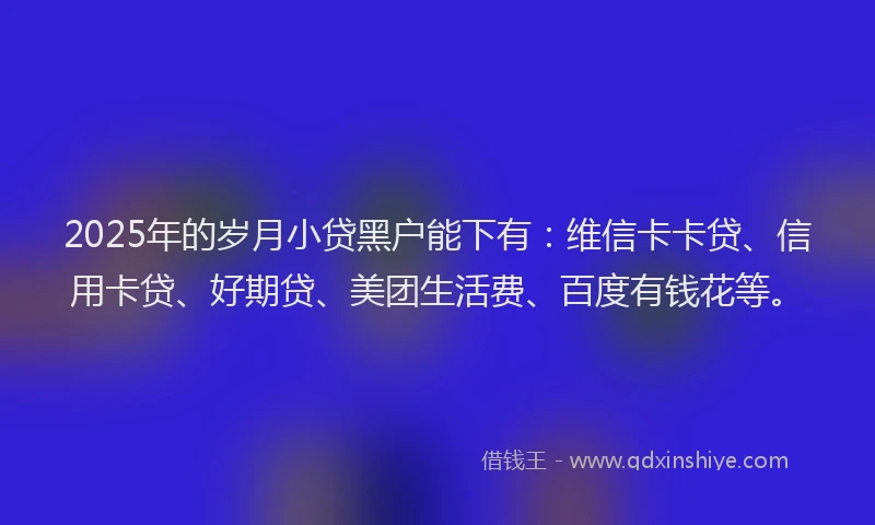 2025年的岁月小贷黑户能下有：维信卡卡贷、信用卡贷、好期贷、美团生活费、百度有钱花等。