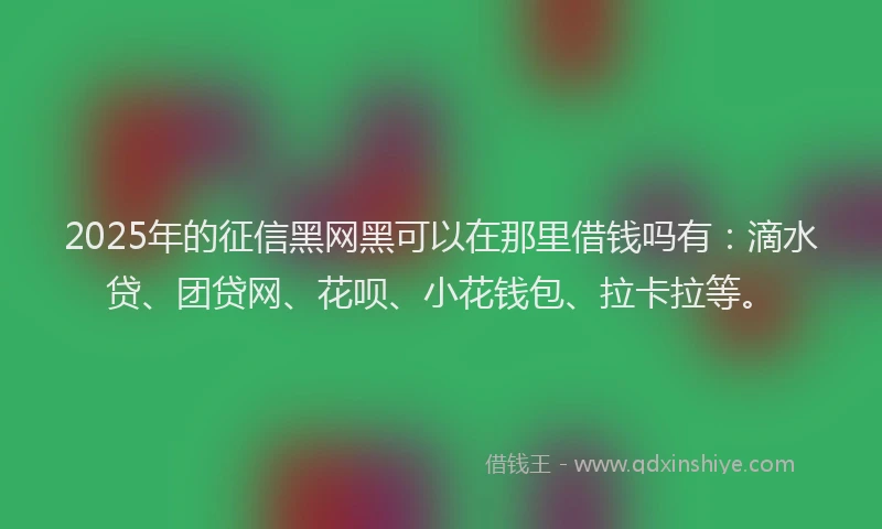 2025年的征信黑网黑可以在那里借钱吗有：滴水贷、团贷网、花呗、小花钱包、拉卡拉等。