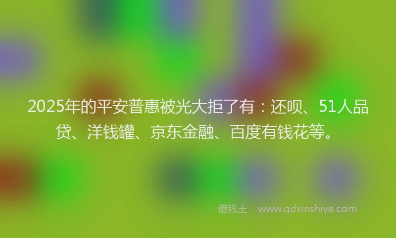 2025年的平安普惠被光大拒了有：还呗、51人品贷、洋钱罐、京东金融、百度有钱花等。