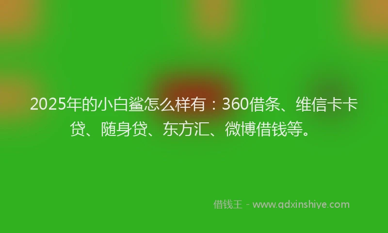 2025年的小白鲨怎么样有：360借条、维信卡卡贷、随身贷、东方汇、微博借钱等。
