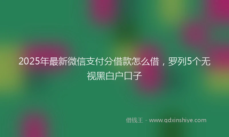 2025年最新微信支付分借款怎么借，罗列5个无视黑白户口子