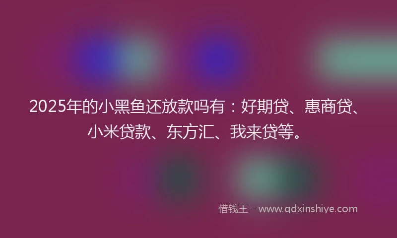 2025年的小黑鱼还放款吗有：好期贷、惠商贷、小米贷款、东方汇、我来贷等。