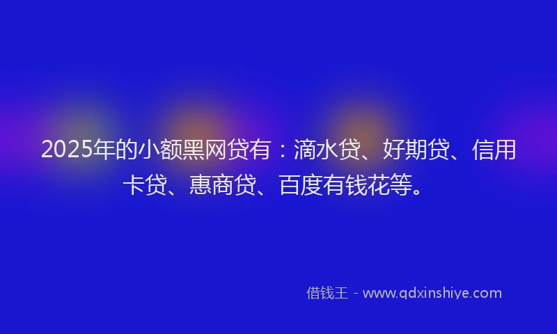 2025年的小额黑网贷有：滴水贷、好期贷、信用卡贷、惠商贷、百度有钱花等。