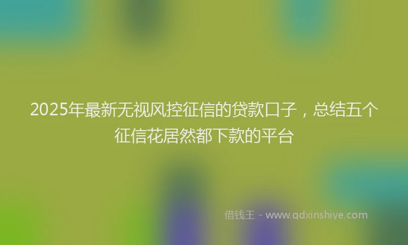 2025年最新无视风控征信的贷款口子，总结五个征信花居然都下款的平台
