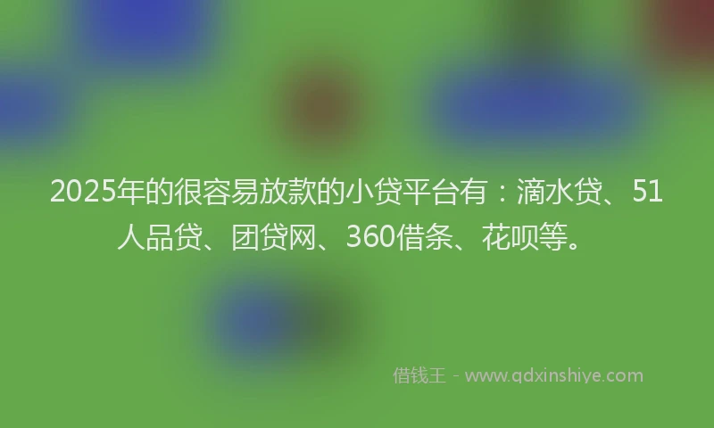 2025年的很容易放款的小贷平台有：滴水贷、51人品贷、团贷网、360借条、花呗等。