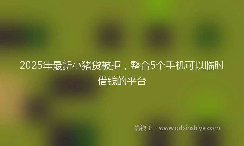 2025年最新小猪贷被拒，整合5个手机可以临时借钱的平台