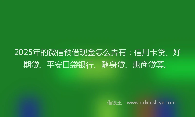 2025年的微信预借现金怎么弄有：信用卡贷、好期贷、平安口袋银行、随身贷、惠商贷等。