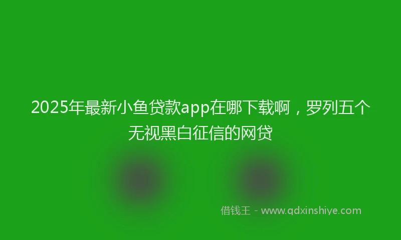 2025年最新小鱼贷款app在哪下载啊，罗列五个无视黑白征信的网贷