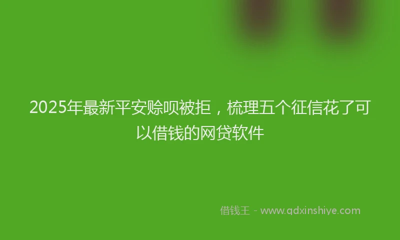 2025年最新平安赊呗被拒，梳理五个征信花了可以借钱的网贷软件