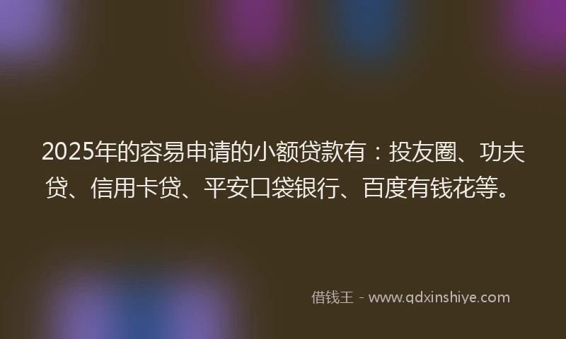 2025年的容易申请的小额贷款有：投友圈、功夫贷、信用卡贷、平安口袋银行、百度有钱花等。