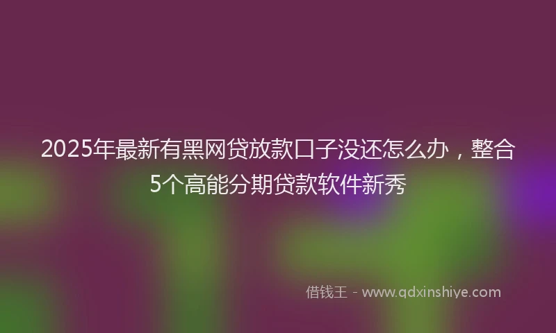 2025年最新有黑网贷放款口子没还怎么办，整合5个高能分期贷款软件新秀