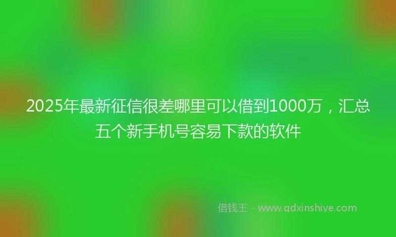 2025年最新征信很差哪里可以借到1000万，汇总五个新手机号容易下款的软件