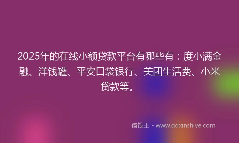 2025年的在线小额贷款平台有哪些有：度小满金融、洋钱罐、平安口袋银行、美团生活费、小米贷款等。