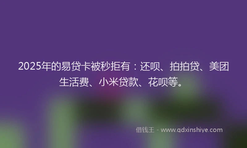 2025年的易贷卡被秒拒有：还呗、拍拍贷、美团生活费、小米贷款、花呗等。
