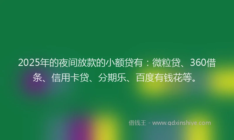 2025年的夜间放款的小额贷有：微粒贷、360借条、信用卡贷、分期乐、百度有钱花等。