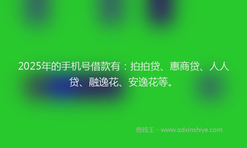 2025年的手机号借款有：拍拍贷、惠商贷、人人贷、融逸花、安逸花等。