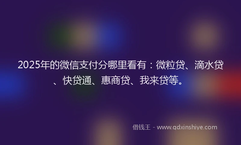 2025年的微信支付分哪里看有：微粒贷、滴水贷、快贷通、惠商贷、我来贷等。
