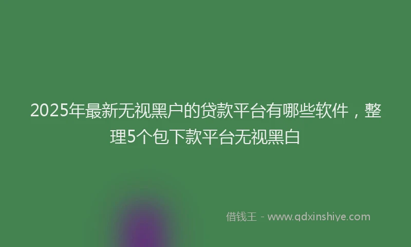 2025年最新无视黑户的贷款平台有哪些软件，整理5个包下款平台无视黑白