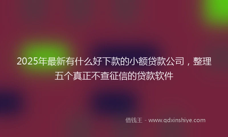 2025年最新有什么好下款的小额贷款公司，整理五个真正不查征信的贷款软件