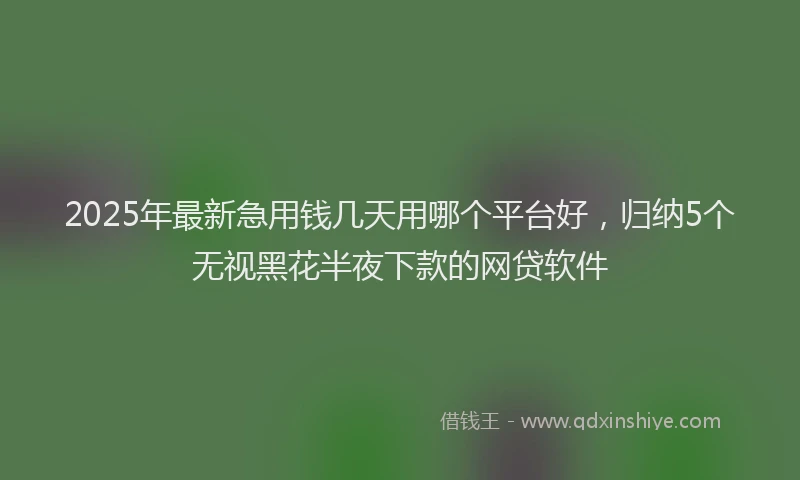 2025年最新急用钱几天用哪个平台好，归纳5个无视黑花半夜下款的网贷软件